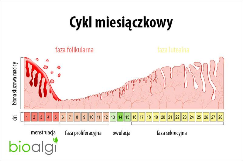 Jak długo po porodzie można spodziewać się długich cykli miesiączkowych?