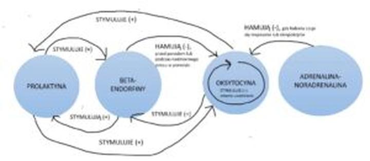 Kiedy po porodzie hormony wracają do normy? Oto, co musisz wiedzieć