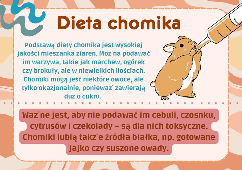 Przykładowy jadłospis dla chomika po porodzie