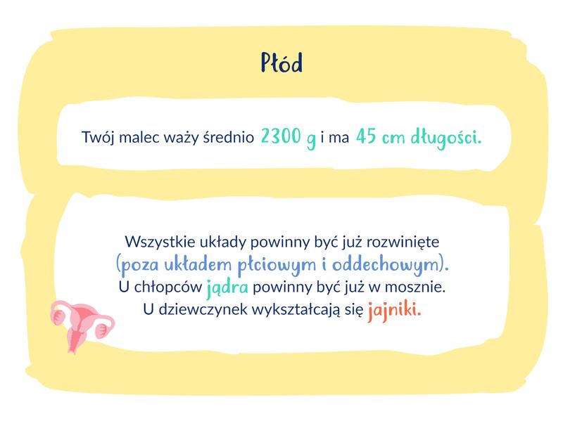 Emocje i przygotowanie do porodu