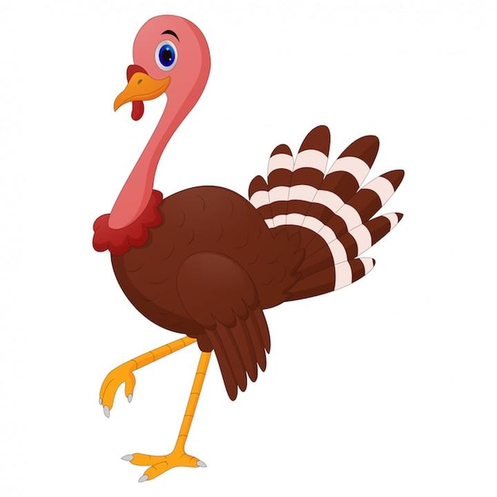 Proste techniki rysunkowe