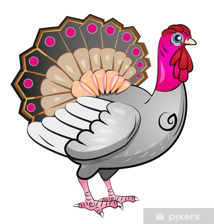 Rysowanie indyka krok po kroku