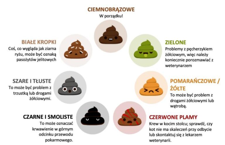 Co oznacza rzadka zielona kupka u niemowlaka karmionego piersią?