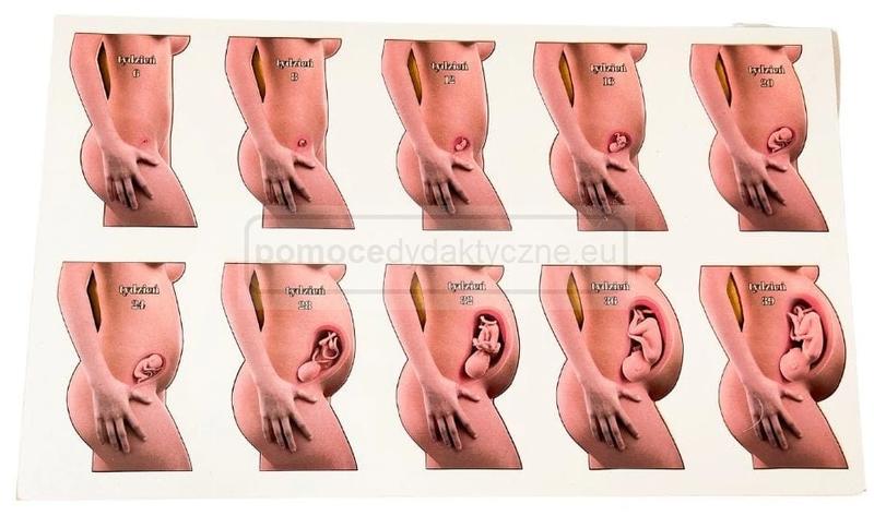 Ciąża a miesiączka