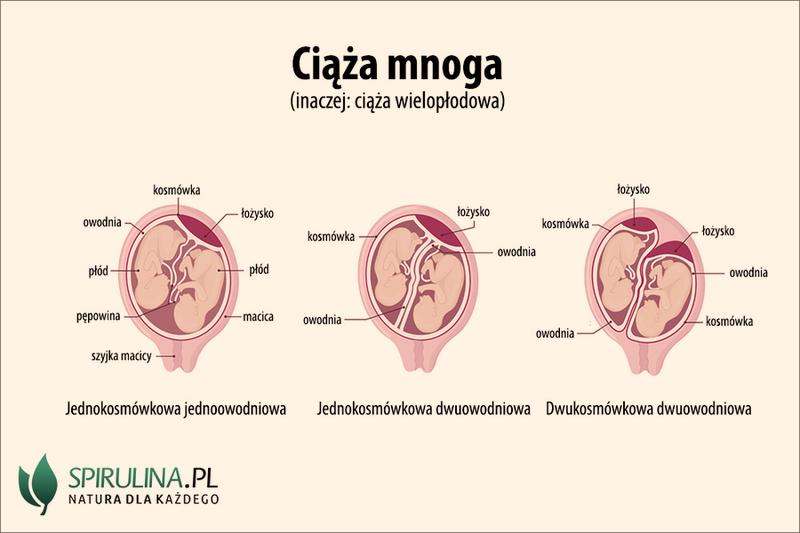 Objawy ciąży