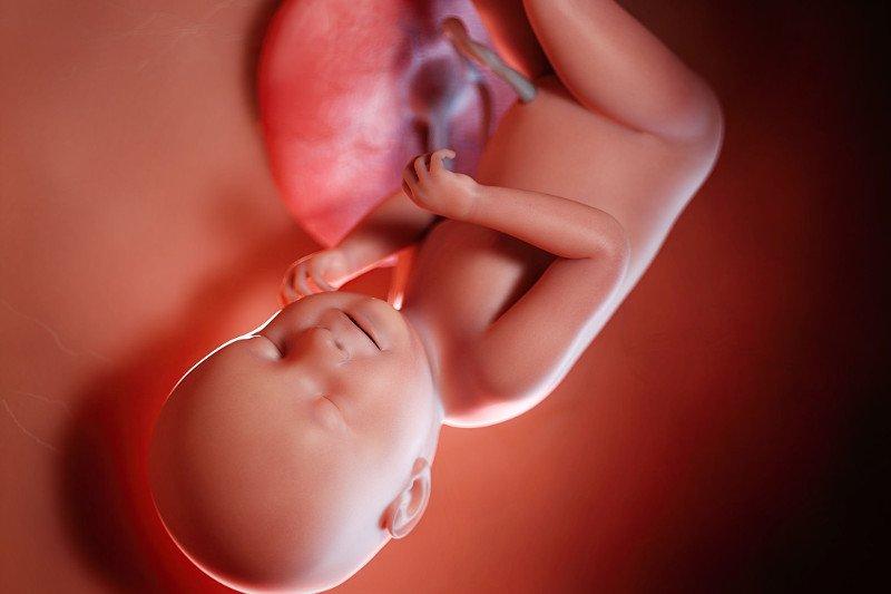 Ruchy dziecka w ciąży