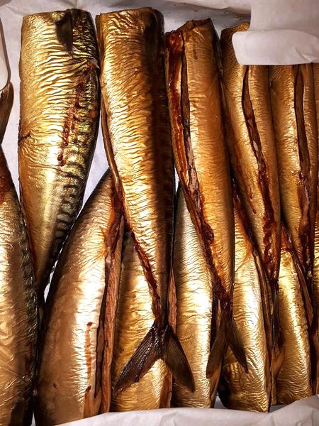 Zdrowotne właściwości ryb