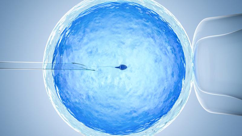 Czy dziecko z in vitro może mieć problemy zdrowotne?