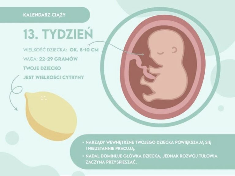 Czy w 13 tygodniu ciąży można już poznać płeć dziecka?